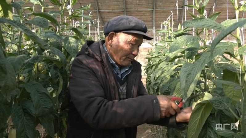  【习声回响】让老百姓幸福就是党的事业_0225005839 新闻 【习声回响】让老百姓幸福就是党的事业_0225005839 新闻 【习声回响】让老百姓幸福就是党的事业_0225005839 新闻