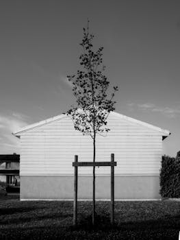 法兰泰克实控人拟变更 公司股票今起复牌 新闻