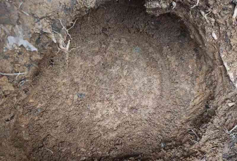  云南威信一村民耕作时挖出东汉铜鼓并主动捐出，专家：应为祭祀时的重要礼器 新闻 云南威信一村民耕作时挖出东汉铜鼓并主动捐出，专家：应为祭祀时的重要礼器 新闻 云南威信一村民耕作时挖出东汉铜鼓并主动捐出，专家：应为祭祀时的重要礼器 新闻