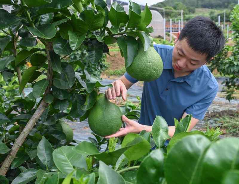 习近平总书记引领中国从脱贫攻坚迈向乡村全面振兴 新闻 习近平总书记引领中国从脱贫攻坚迈向乡村全面振兴 新闻 习近平总书记引领中国从脱贫攻坚迈向乡村全面振兴 新闻