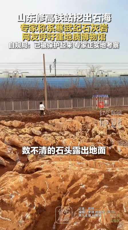  山东修高铁站挖出约5亿年前石海，专家称系寒武纪石灰岩，当地：已保护起来，正实地考察 新闻 山东修高铁站挖出约5亿年前石海，专家称系寒武纪石灰岩，当地：已保护起来，正实地考察 新闻 山东修高铁站挖出约5亿年前石海，专家称系寒武纪石灰岩，当地：已保护起来，正实地考察 新闻