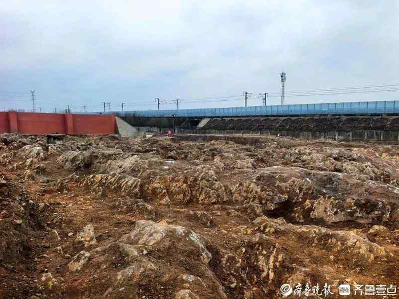  山东修高铁站挖出约5亿年前石海，专家称系寒武纪石灰岩，当地：已保护起来，正实地考察 新闻 山东修高铁站挖出约5亿年前石海，专家称系寒武纪石灰岩，当地：已保护起来，正实地考察 新闻 山东修高铁站挖出约5亿年前石海，专家称系寒武纪石灰岩，当地：已保护起来，正实地考察 新闻