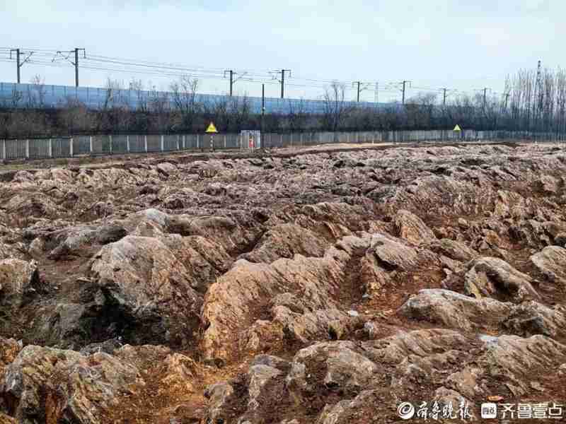  山东修高铁站挖出约5亿年前石海，专家称系寒武纪石灰岩，当地：已保护起来，正实地考察 新闻 山东修高铁站挖出约5亿年前石海，专家称系寒武纪石灰岩，当地：已保护起来，正实地考察 新闻 山东修高铁站挖出约5亿年前石海，专家称系寒武纪石灰岩，当地：已保护起来，正实地考察 新闻