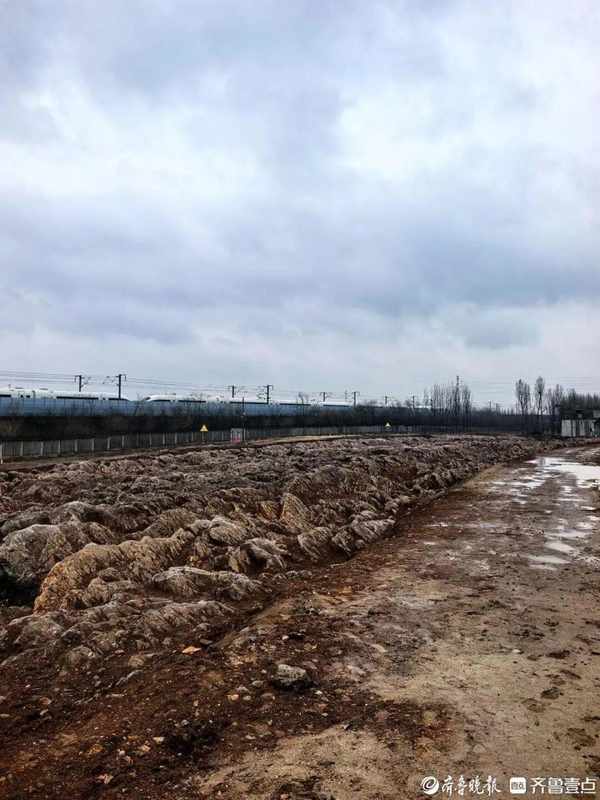  山东修高铁站挖出约5亿年前石海，专家称系寒武纪石灰岩，当地：已保护起来，正实地考察 新闻 山东修高铁站挖出约5亿年前石海，专家称系寒武纪石灰岩，当地：已保护起来，正实地考察 新闻 山东修高铁站挖出约5亿年前石海，专家称系寒武纪石灰岩，当地：已保护起来，正实地考察 新闻