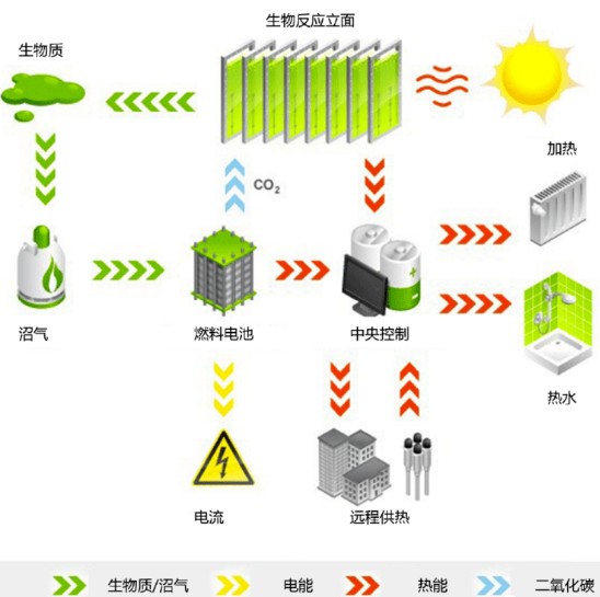  新知 绿色藻类建筑板：能发电，还可吸收二氧化碳 新闻 新知 绿色藻类建筑板：能发电，还可吸收二氧化碳 新闻 新知 绿色藻类建筑板：能发电，还可吸收二氧化碳 新闻