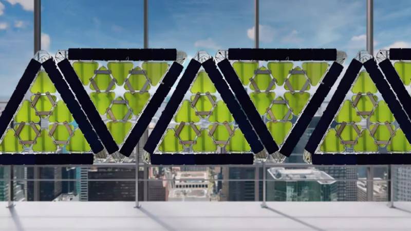  新知 绿色藻类建筑板：能发电，还可吸收二氧化碳 新闻 新知 绿色藻类建筑板：能发电，还可吸收二氧化碳 新闻 新知 绿色藻类建筑板：能发电，还可吸收二氧化碳 新闻