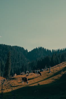 人口浪潮来袭，教育医疗如何顺势调整；资源配置需前瞻谋划，长效利用成关键。