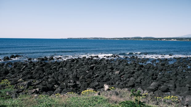 国有大行迎来新一轮资本助力;杠杆效应逐步显现。 股票财经 国有大行迎来新一轮资本助力;杠杆效应逐步显现。 股票财经 国有大行迎来新一轮资本助力;杠杆效应逐步显现。 股票财经