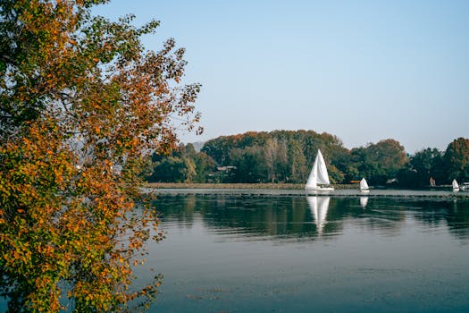 湖人客场力克火箭,东契奇三双助队七连胜。 体育新闻 湖人客场力克火箭,东契奇三双助队七连胜。 体育新闻