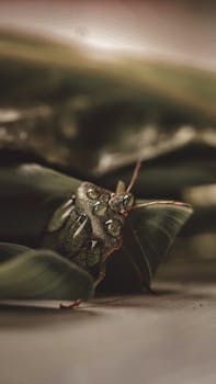 齐白石草虫世界首次全貌呈现;问虫展览开启艺术与科学对话。 文化旅游