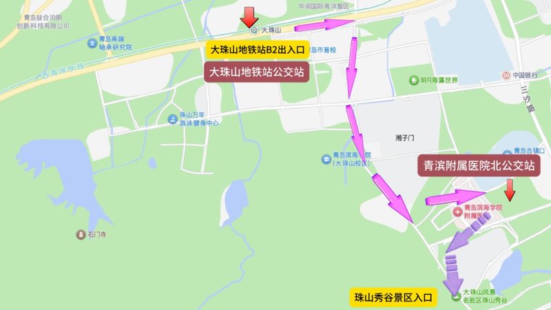  技术方案全解密：地铁+接驳体系如何支撑大珠山杜鹃花会大客流疏解 文化旅游 技术方案全解密：地铁+接驳体系如何支撑大珠山杜鹃花会大客流疏解 文化旅游
