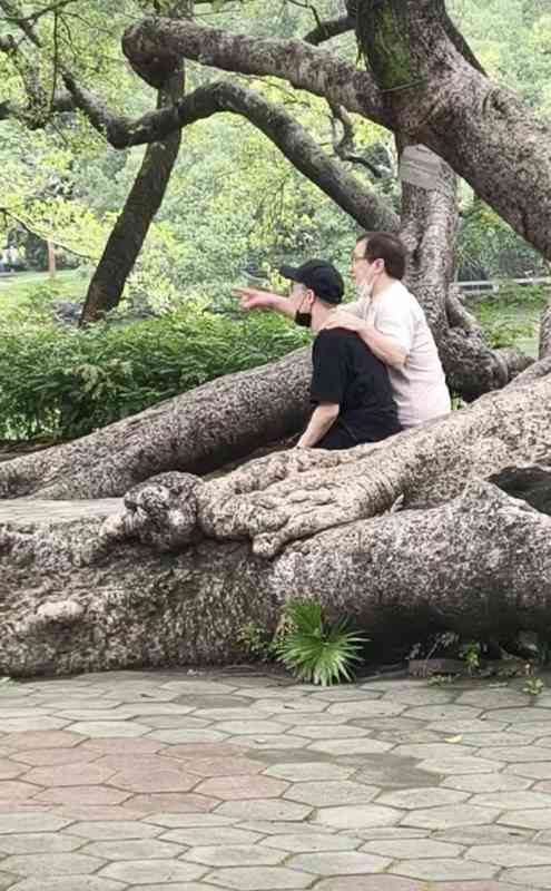  从苏东坡祠同框事件，拆解明星家庭的公众形象管理逻辑 娱乐新闻