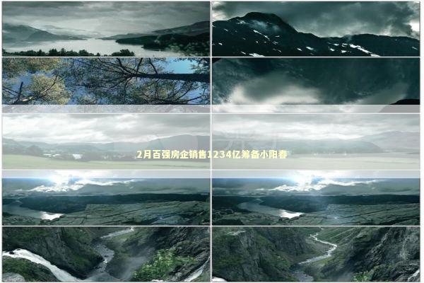 2月百强房企销售1234亿筹备小阳春 新闻