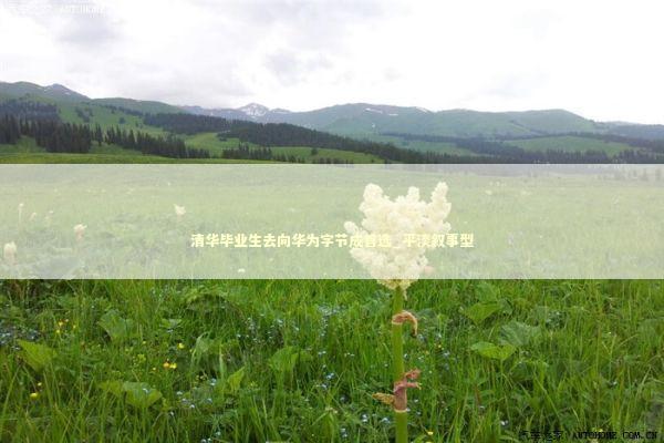 清华毕业生去向华为字节成首选_平淡叙事型 新闻