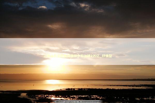 三桶油历史性集体涨停中石油破2万亿_抒情型 新闻