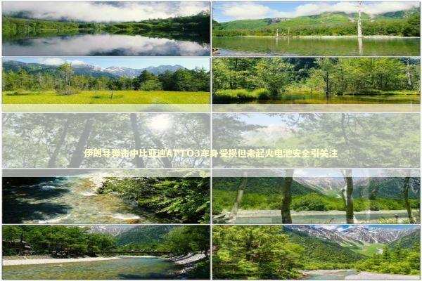 伊朗导弹击中比亚迪ATTO3车身受损但未起火电池安全引关注 新闻