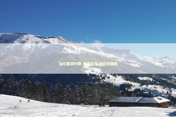 油价暴涨时期 投资与生活应对指南 新闻