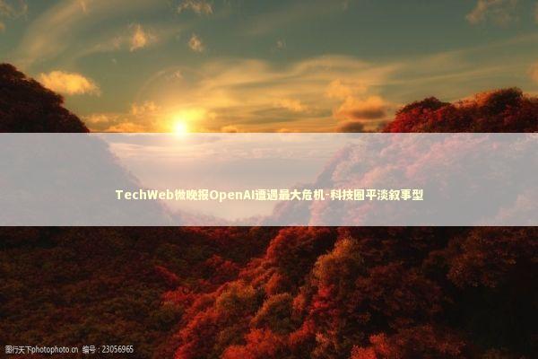 TechWeb微晚报OpenAI遭遇最大危机-科技圈平淡叙事型 新闻
