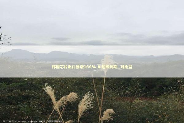 韩国芯片出口暴涨160% AI超级周期_对比型 新闻