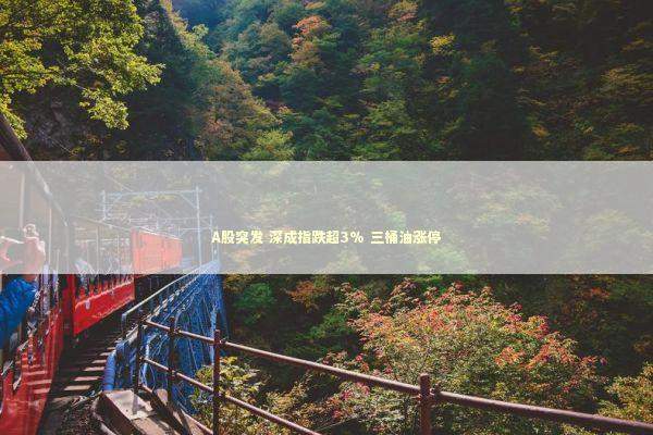 A股突发 深成指跌超3% 三桶油涨停 新闻