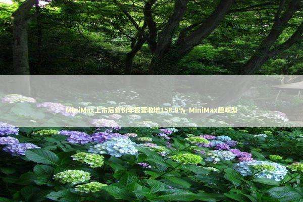 MiniMax上市后首份年报营收增158.9%-MiniMax趣味型 新闻