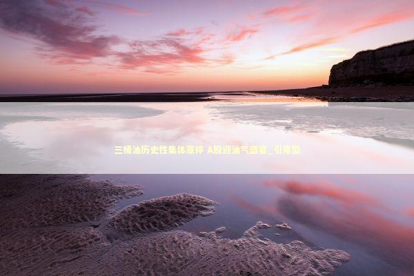 三桶油历史性集体涨停 A股迎油气盛宴_引用型 新闻