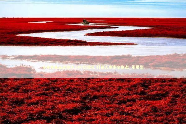 小米未来五年投入240亿欧元 打造人车家全生态_引用型 新闻