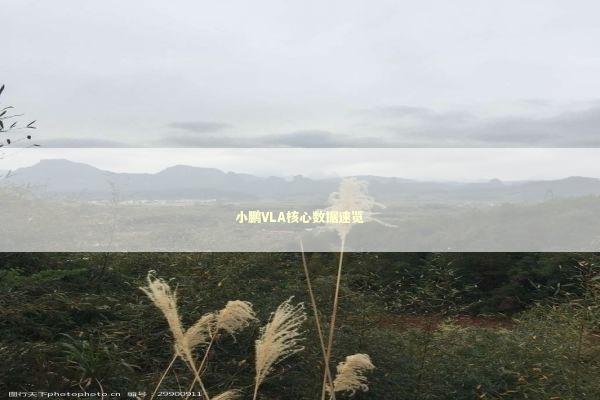 小鹏VLA核心数据速览 小鹏VLA核心数据速览 新闻