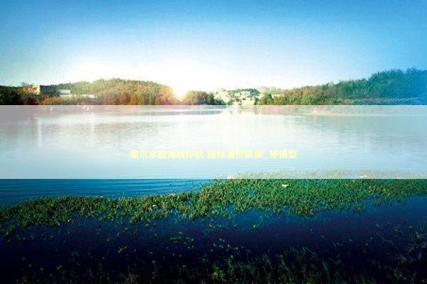 霍尔木兹海峡停航 国际油价飙涨_抒情型 新闻