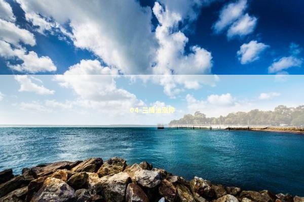 04-三桶油涨停 新闻