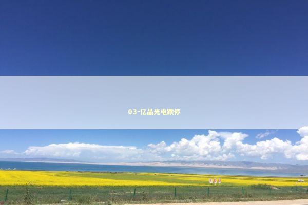 03-亿晶光电跌停 新闻