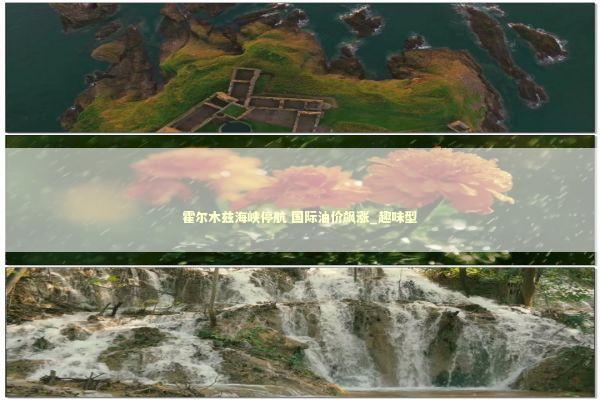 霍尔木兹海峡停航 国际油价飙涨_趣味型 新闻