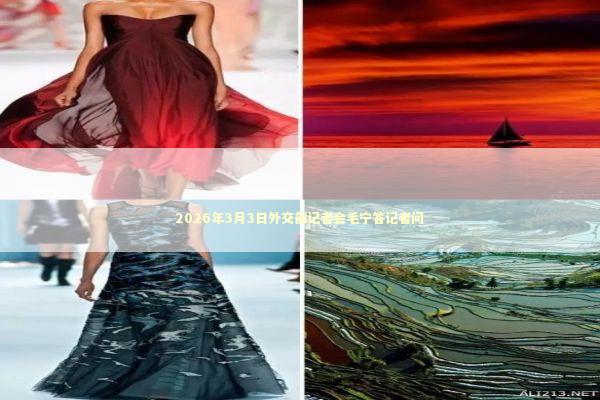 2026年3月3日外交部记者会毛宁答记者问 新闻