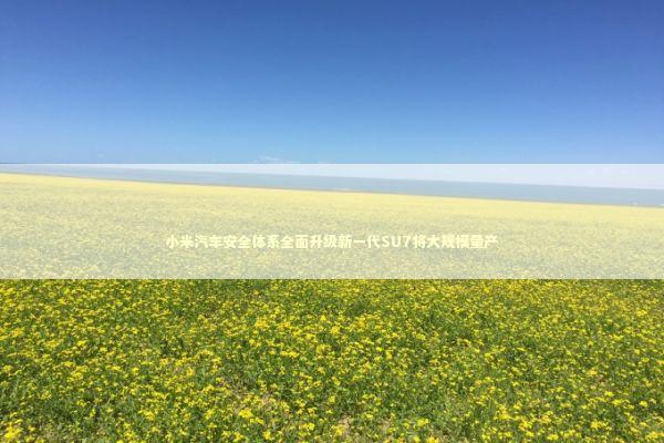 小米汽车安全体系全面升级新一代SU7将大规模量产 小米汽车安全体系全面升级新一代SU7将大规模量产 新闻