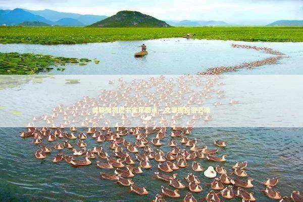 美联储褐皮书实用要点一文掌握投资必读 新闻