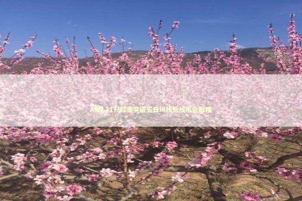 A股121只股票突破五日均线短线机会解读 新闻