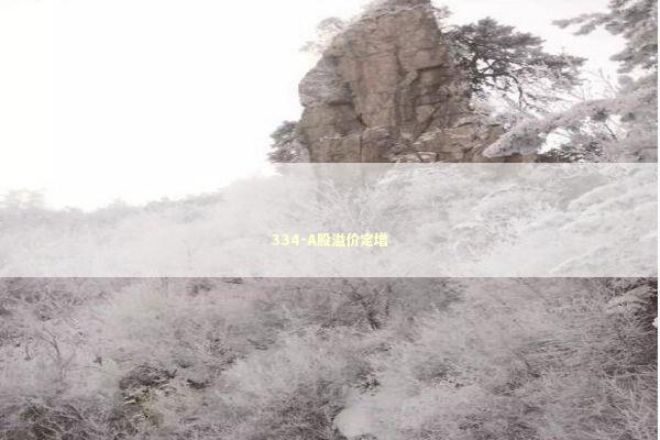 334-A股溢价定增 新闻