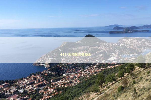 443-大湾区元宵晚会 443-大湾区元宵晚会 新闻