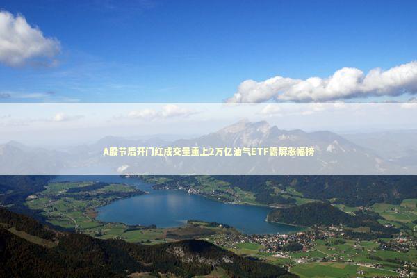 A股节后开门红成交量重上2万亿油气ETF霸屏涨幅榜 A股节后开门红成交量重上2万亿油气ETF霸屏涨幅榜 新闻