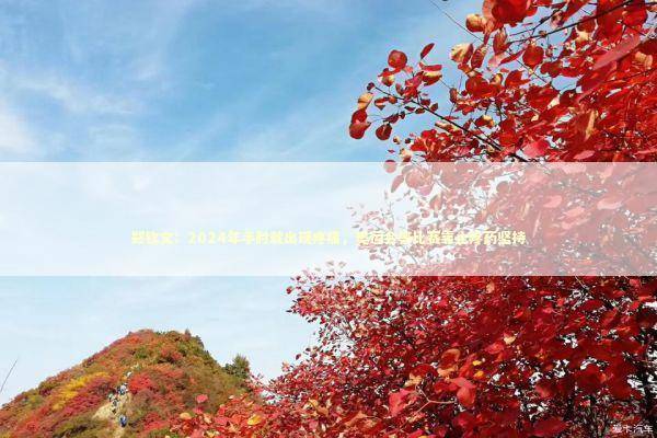 郑钦文：2024年手肘就出现疼痛，奥运会等比赛靠止疼药坚持 新闻