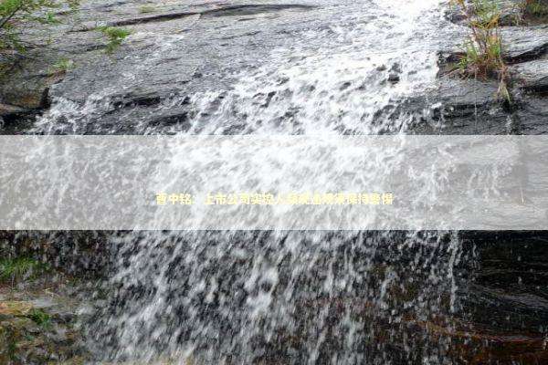 曹中铭：上市公司实控人频现违规须保持警惕 新闻