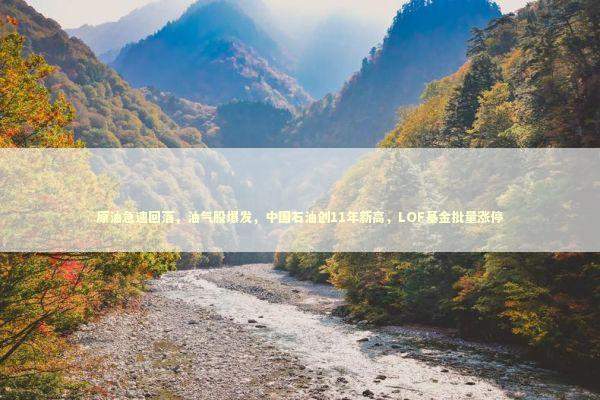原油急速回落，油气股爆发，中国石油创11年新高，LOF基金批量涨停 新闻