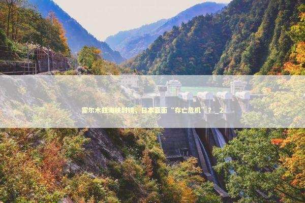 霍尔木兹海峡封锁，日本直面“存亡危机”？_2 新闻