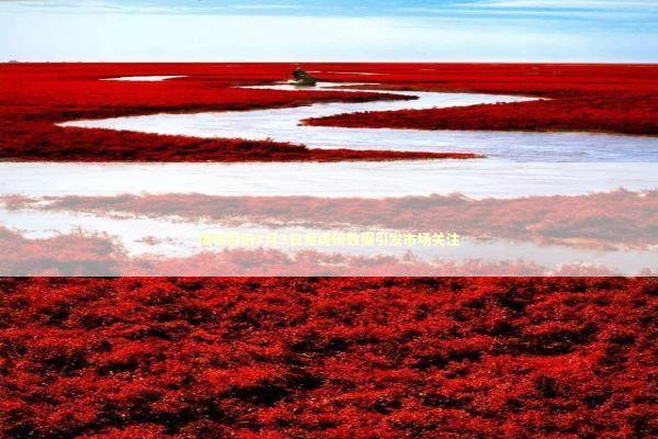 德石股份3月3日龙虎榜数据引发市场关注 新闻