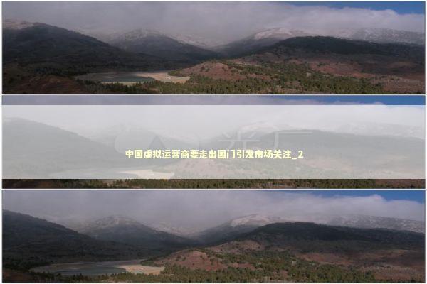 中国虚拟运营商要走出国门引发市场关注_2 新闻