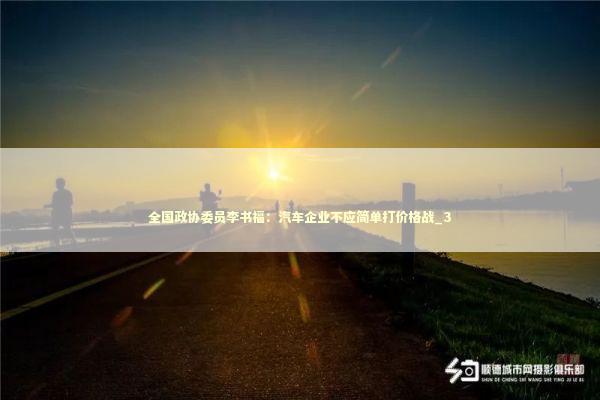 全国政协委员李书福：汽车企业不应简单打价格战_3 新闻