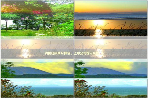 钨价狂飙两月翻倍，上市公司提示风险_1 新闻