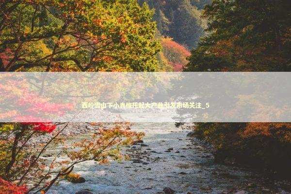 西岭雪山下小青梅托起大产业引发市场关注_5 新闻