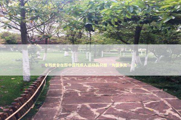 冬残奥会在即中国残疾人运动员只想“为国争光”_3 冬残奥会在即中国残疾人运动员只想“为国争光”_3 新闻