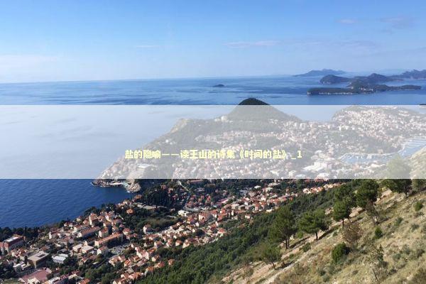 盐的隐喻——读王山的诗集《时间的盐》_1 新闻